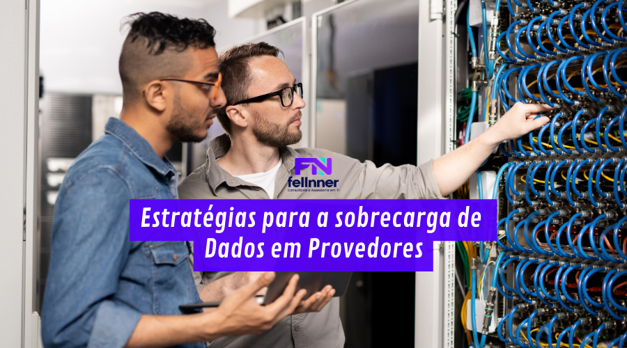 Estratégias para a sobrecarga de Dados em Provedores